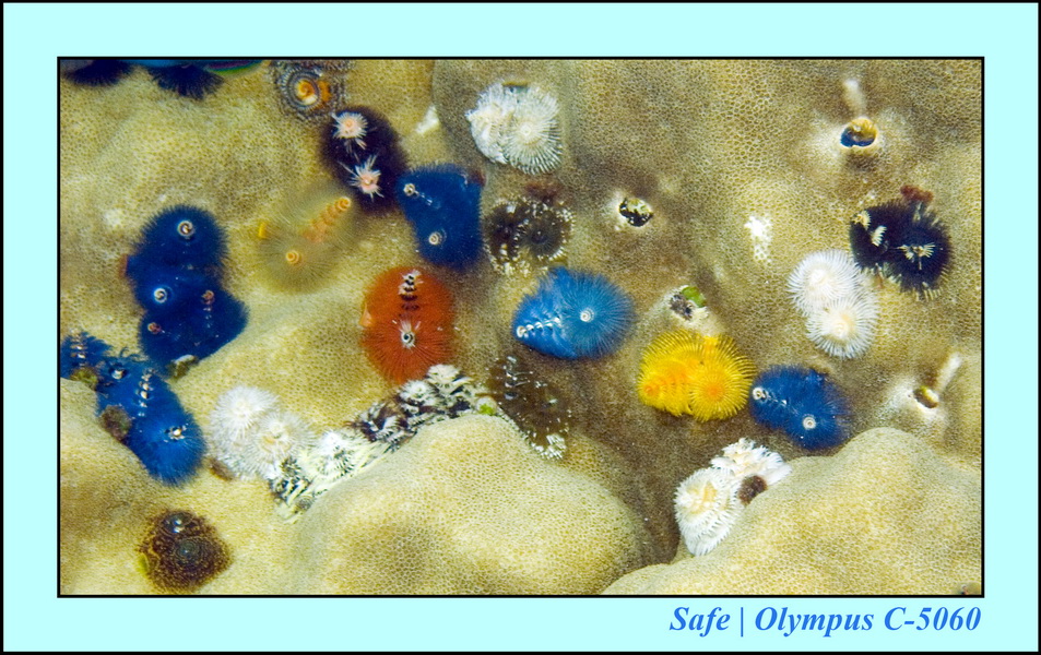 2008 - 07 - Redang - 019